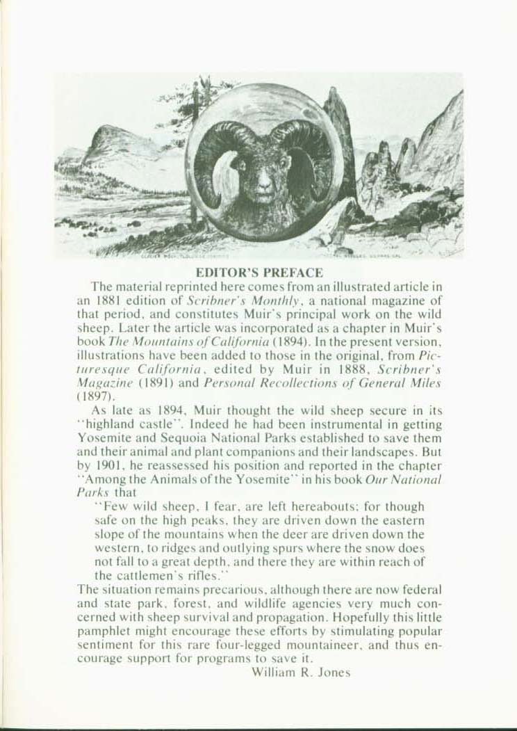 THE WILD SHEEP 1881.vist0017a